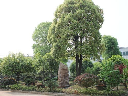 工廠花園